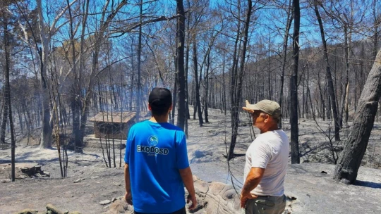 Kuşadası'ndaki orman yangınında antik su kemeri zarar gördü