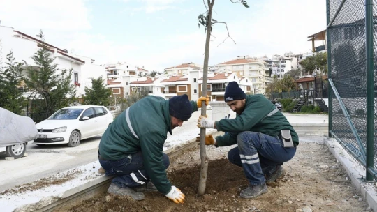Kuşadası Tenis Kulübü'ne kavuşuyor