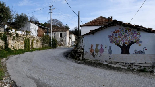 Caferli Mahallesi'nde şenlik var