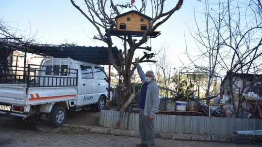 Kuşlar üşümesin diye saray yavrusu yaptı
