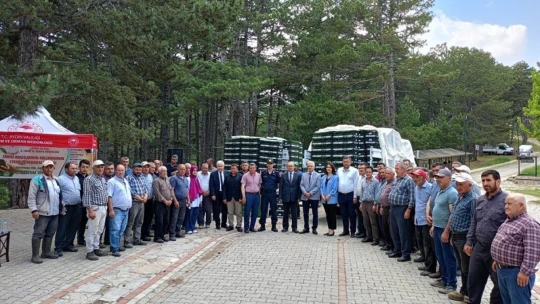 Kuyucak'ta 200 bin geçci domates fidesi dağıltı