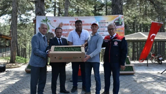 Kuyucak'ta 220 bin domates fidesi dağıtıldı