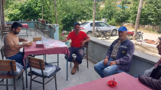 Kuyucak'ta hasat öncesi pestisit denetimleri