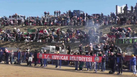 Kuyucak'ta pehlivan develer şampiyonluk için güreşti