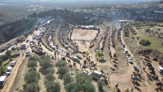 Kuyucak'ta pehlivan develer şampiyonluk için güreşti