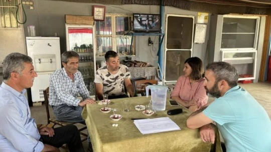 Kuyucak'ta zeytin güvesi uyarısı