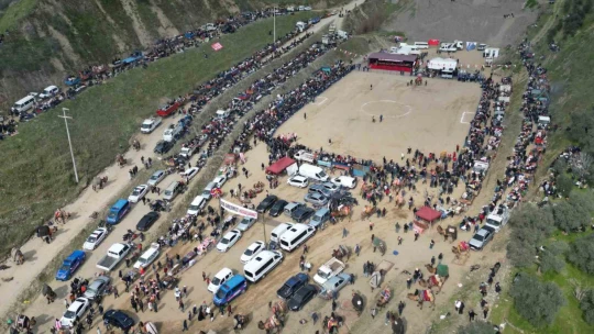 Kuyucak'taki deve güreşlerini 15 bin kişi izledi