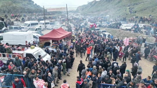 Kuyucak'taki deve güreşlerini 15 bin kişi izledi