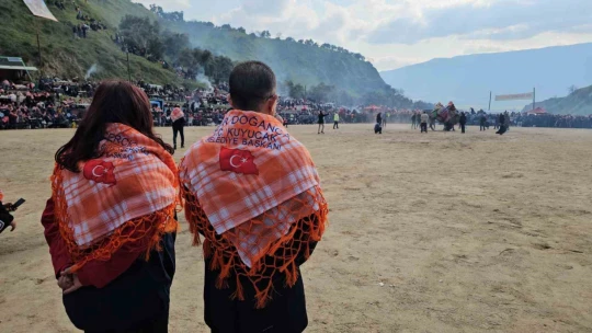 Kuyucak'taki deve güreşlerini 15 bin kişi izledi