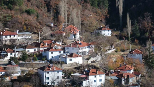 Kuyucak'taki evler tek renge büründü