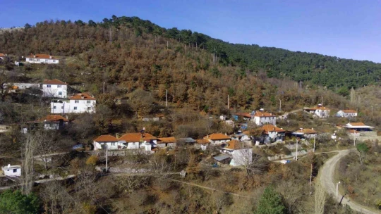 Kuyucak'taki evler tek renge büründü