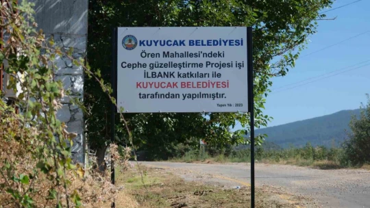 Kuyucak'taki evler tek renge büründü