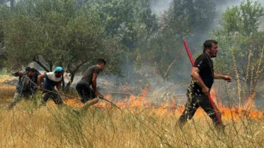 Kuyucak'taki orman yangını kontrol altına alındı