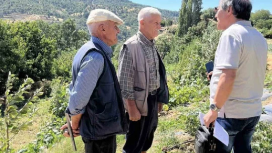 Kuyucak Tarım Müdürlüğü'nden üreticiye zararlı uyarısı
