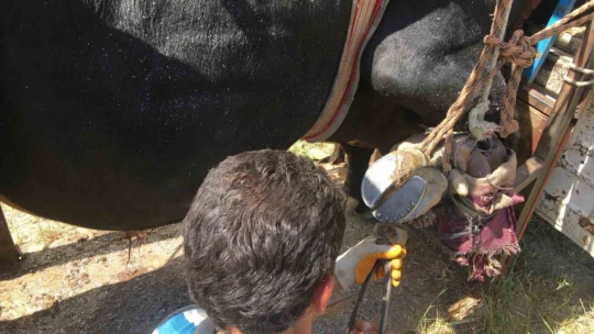 Mahalle mahalle gezip tırnak bakımı yapıyor