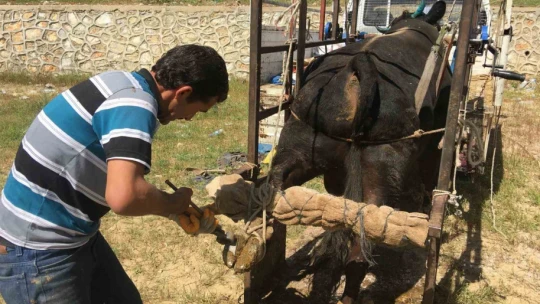 Mahalle mahalle gezip tırnak bakımı yapıyor