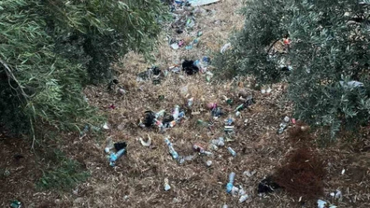 Mahalle muhtarı mesire alanındaki çöplere isyan etti