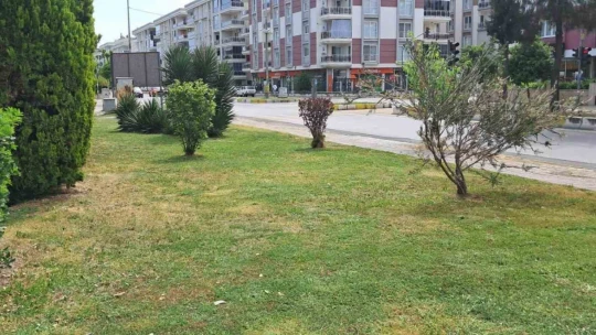 Mahalle sakinlerini istedi, park bahçeler temizlendi
