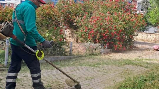 Mahalle sakinlerini istedi, park bahçeler temizlendi