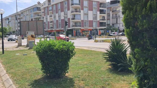 Mahalle sakinlerini istedi, park bahçeler temizlendi