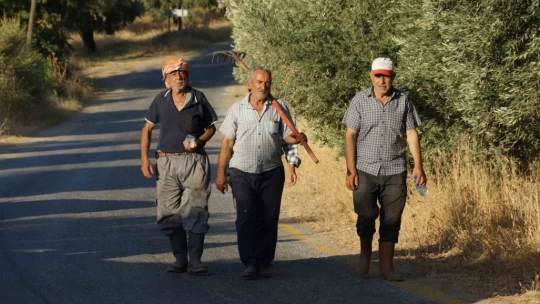 Mahallelerini alevlere karşı savundular
