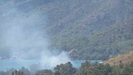 Marmaris Hisarönü'nde çıkan yangın kısa sürede söndürüldü