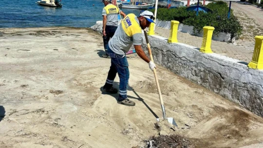 Mavişehir sahilinde temizlik çalışması yapıldı