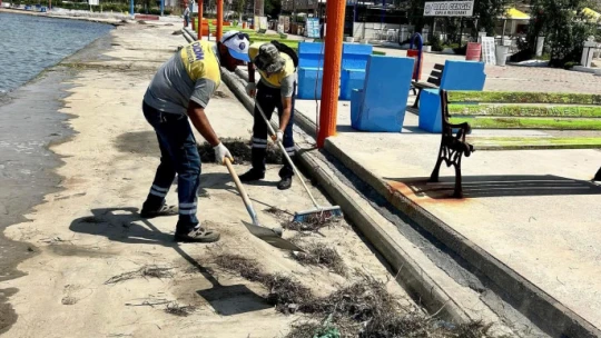 Mavişehir sahilinde temizlik çalışması yapıldı