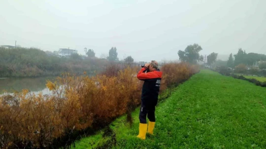 Menderes Nehri'ne düşen kişiyi bulmak için ekipler seferber oldu