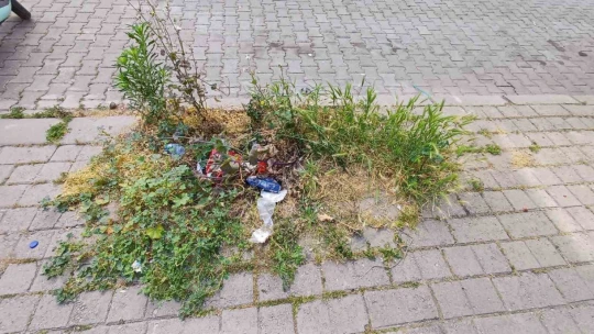 Mera değil Efeler'in merkez mahallesi