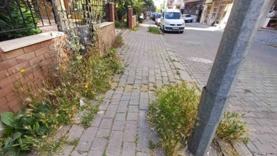 Mera değil Efeler'in merkez mahallesi