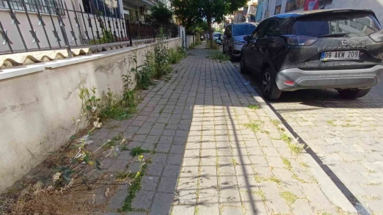 Mera değil Efeler'in merkez mahallesi