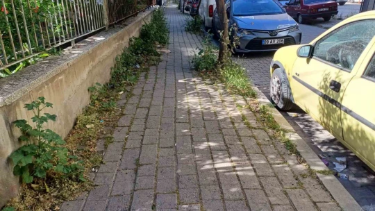 Mera değil Efeler'in merkez mahallesi