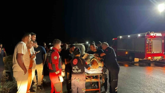 Milas'ta trafik kazası: 1 yaralı