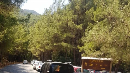 Milli Park'a günlük araç giriş kapasitesi belirlendi