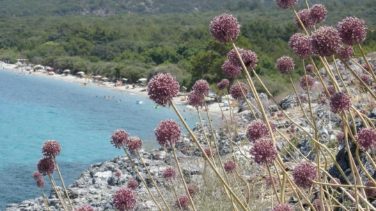 Milli Park'ın önemi öğrencilere anlatıldı