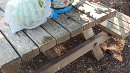 Milli Park'ta kurallara uymayan 29 kişi cezadan kaçamadı