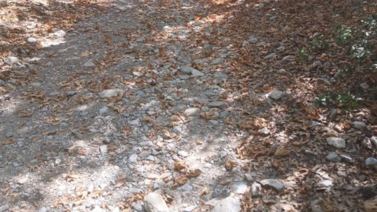 Milli Park'ta tedbirler üst seviyede, tüp kullananlara göz açtırılmıyor