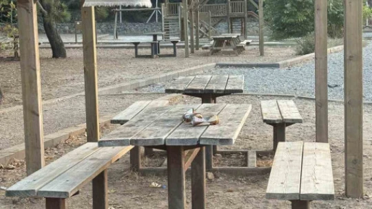 Milli Park'tan 'çevreyi kirletmeyelim' çağrısı