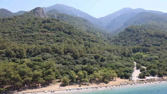 Milli Park, yayalara da açık