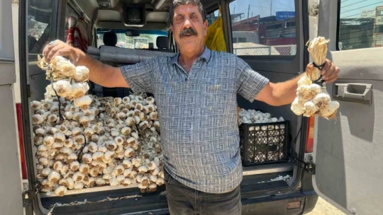 Minibüsüyle üç il gezip, ailesine bakıyor