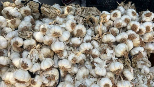 Minibüsüyle üç il gezip, ailesine bakıyor