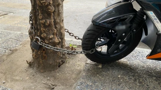 Motoru çalınmasın diye ağaca bağladı