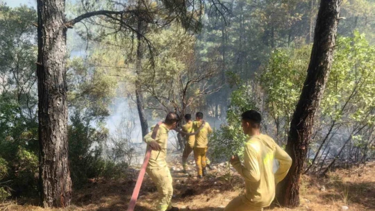 Muğla'daki orman yangını kısmen kontrol altına alındı
