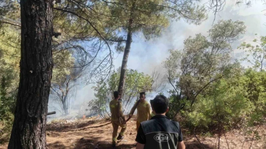 Muğla'daki orman yangını kısmen kontrol altına alındı