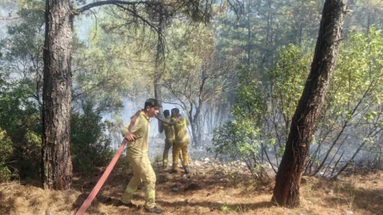 Muğla'daki orman yangını kısmen kontrol altına alındı