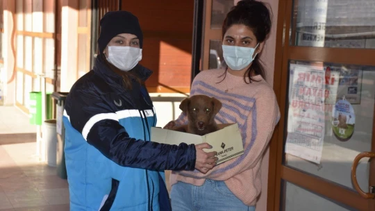 Yaralı köpeğe esnaf ve zabıtadan şefkat eli
