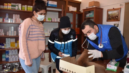 Yaralı köpeğe esnaf ve zabıtadan şefkat eli
