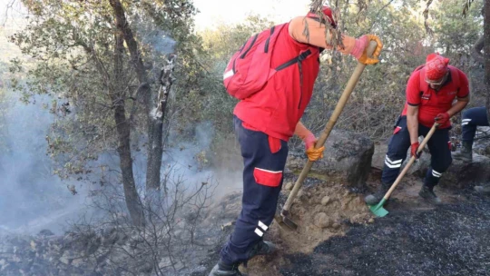 NAFAD bölgedeki yangınlarda aktif görev alıyor