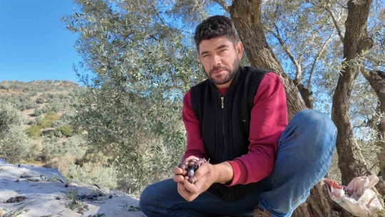 Nakil iki koluyla sorunsuz hasat yapıyor
